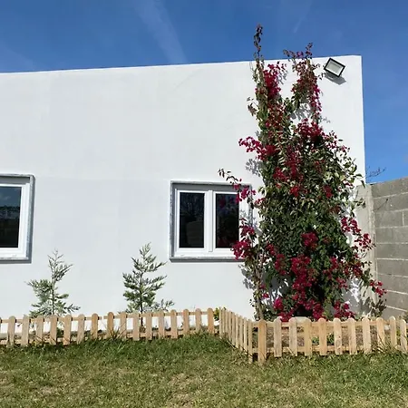 W.H.House/V2 * Пениши